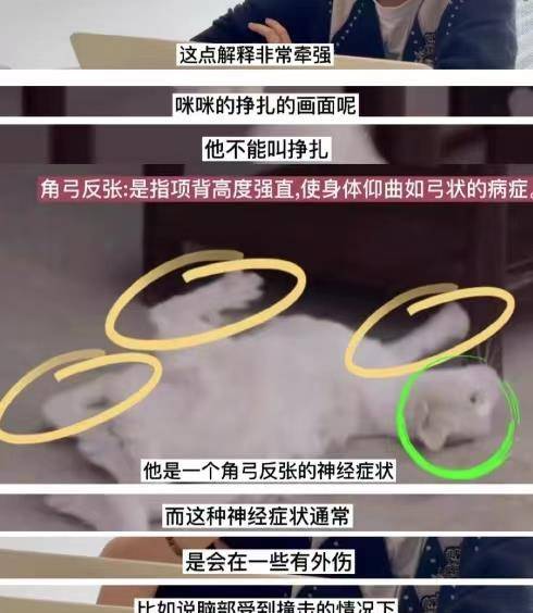 蒋勤勤|这届网友不好哄，《当家主母》已报案，澄清视频却搞错了猫的性别