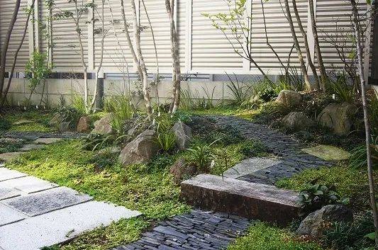 剑源共挤木|日式自然风“杂木”庭院。_生活_植物_树木
