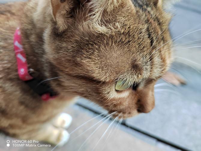 荣耀60 Pro详细评测：AI隔空手势Vlog创新体验