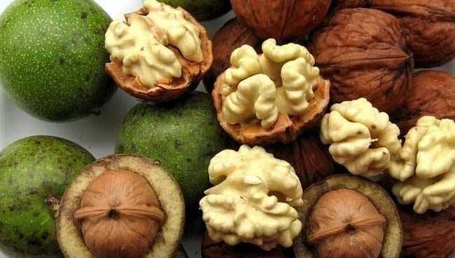 什么是龙眼核桃 ccd242b7245b4394903d55de717ec0ca.jpeg