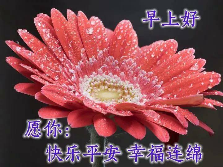 原创最温馨的早上好祝福,带字早安祝福图片