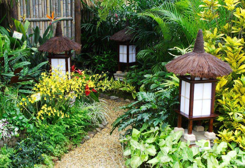剑源共挤木｜日式自然风“杂木”庭院。_生活_植物_树木