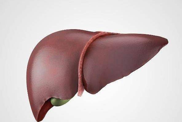 男女|不论男女，早晨起床后这3个表现1个都没有的话，恭喜，肝脏很好