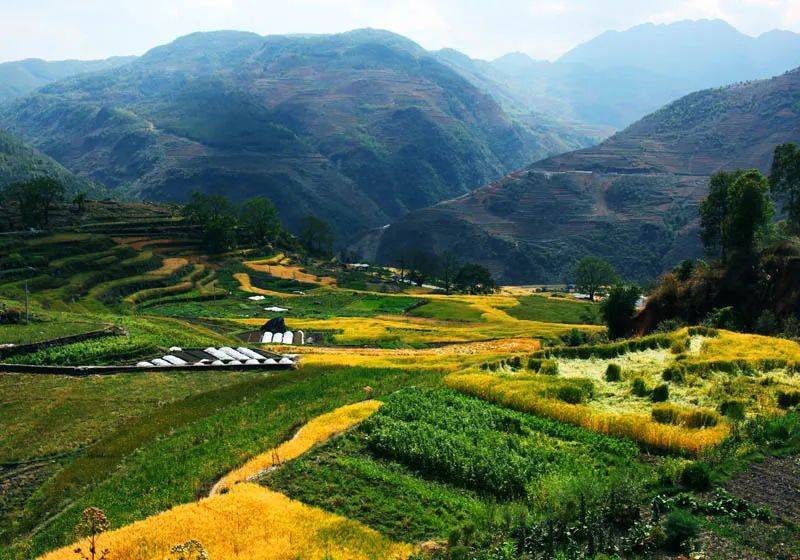 隆阳区瓦窑镇美丽乡村入画来