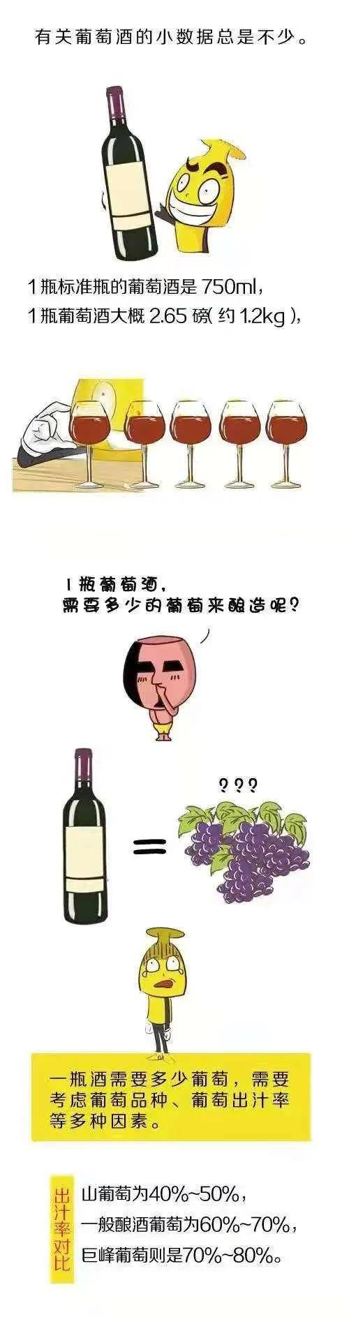 葡萄|一瓶葡萄酒需要多少葡萄酿造呢？