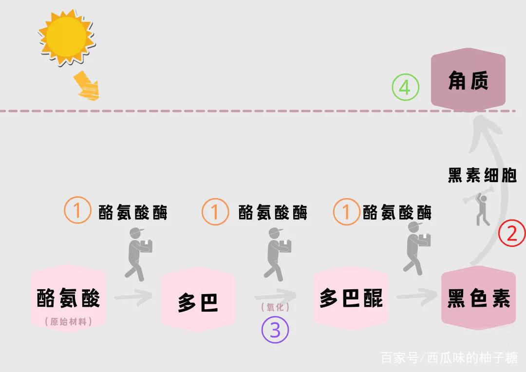 护肤品美白护肤品什么牌子好?十大美白淡斑精华排名按头安利6款!