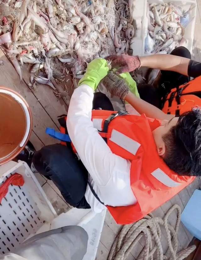 甲板|主持人陈欢晒出海照，刘恺威蹲甲板上认真挑鱼，衣服脏乱都没注意