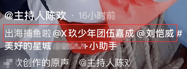 甲板|主持人陈欢晒出海照，刘恺威蹲甲板上认真挑鱼，衣服脏乱都没注意