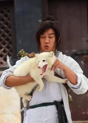 猫咪|不虐待动物就拍不好影视剧了吗？这5部戏的做法，一个比一个残忍