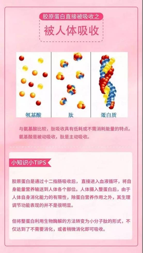 分子外用胶原蛋白护肤品真的有用吗，那口服胶原蛋白肽有用吗？