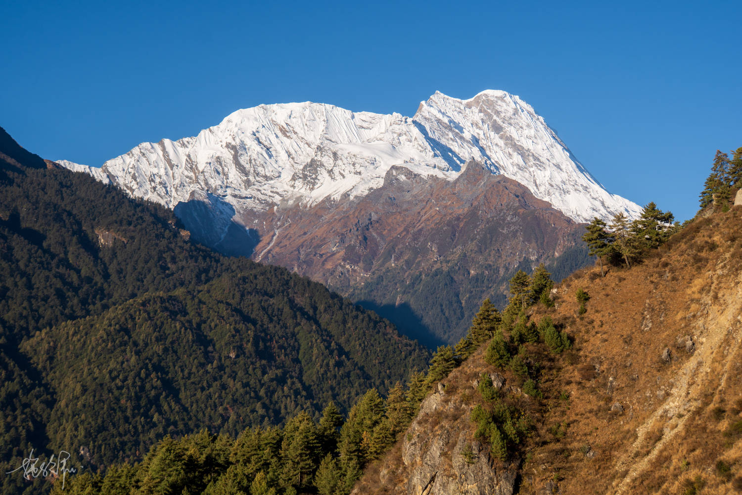 金山|吉隆沟里惬意的一天，四周都是雪山的乃村，到尼泊尔风格的帕巴寺