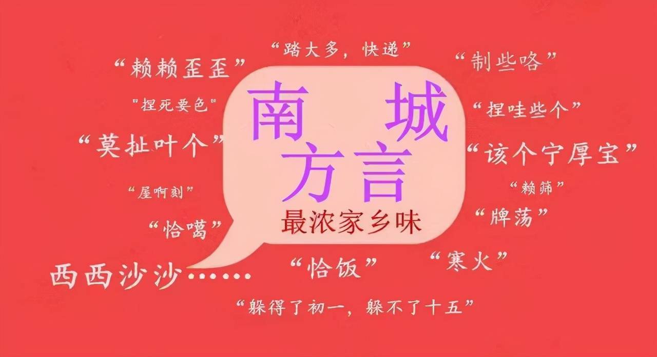 文学语言对地方方言的继承与发展