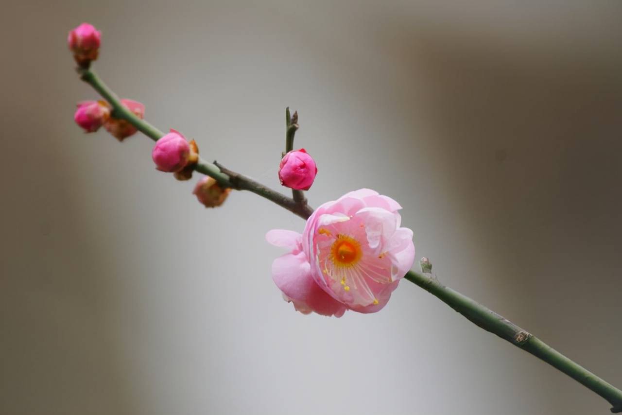 已婚女人恋爱心理_已婚女性心理学_已婚女人的性心理