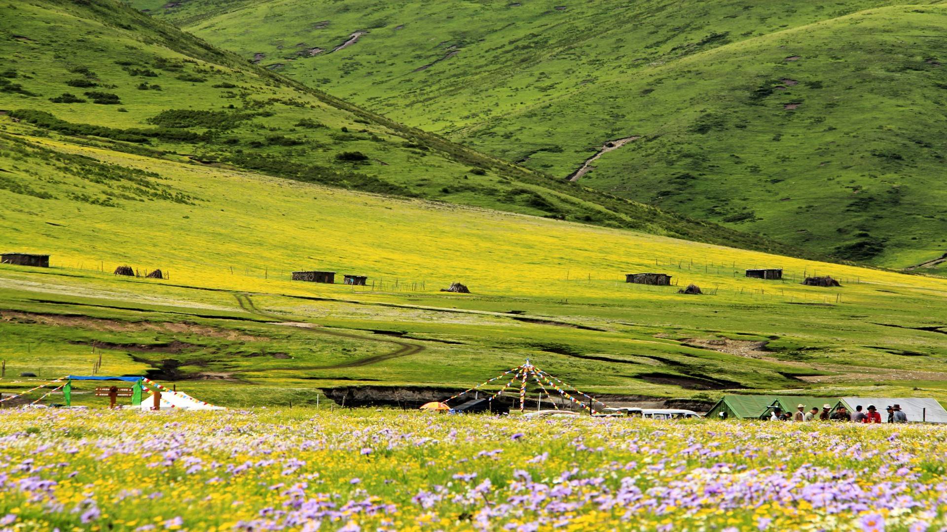 12月5日 12月30日财运爆棚 运势上上签的三星座 生活 横财 月月