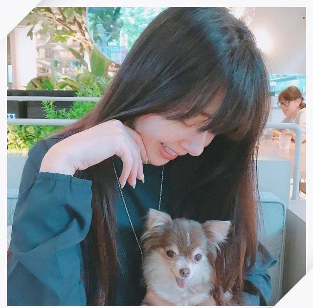 郭碧婷|郭碧婷近照曝光，狗狗遮孕肚，面色红润心情好