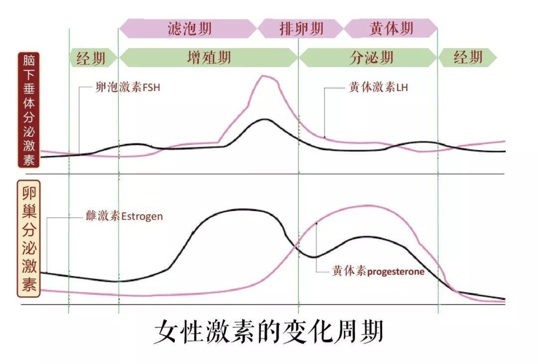 女神|只是生了个娃就变老了？3个必然因素，若月子忽视，必然加速衰老