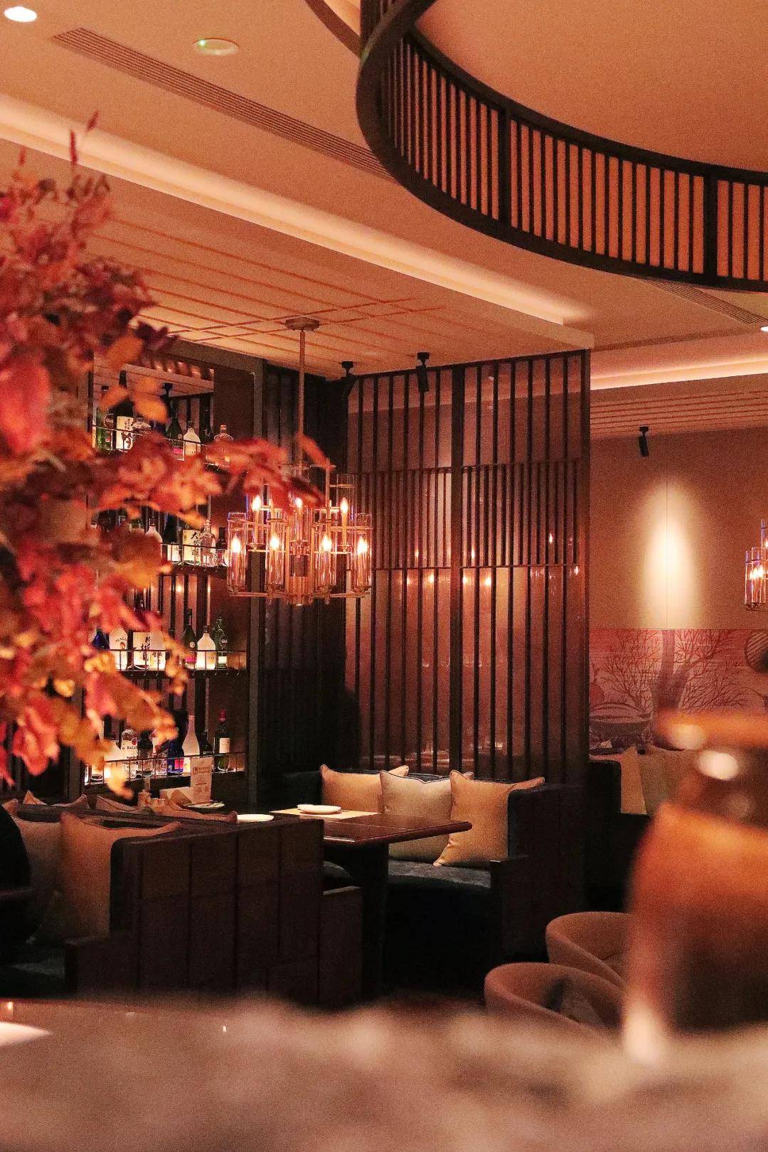 miniko|限时一个月,“咻”快乐弹射起飞!