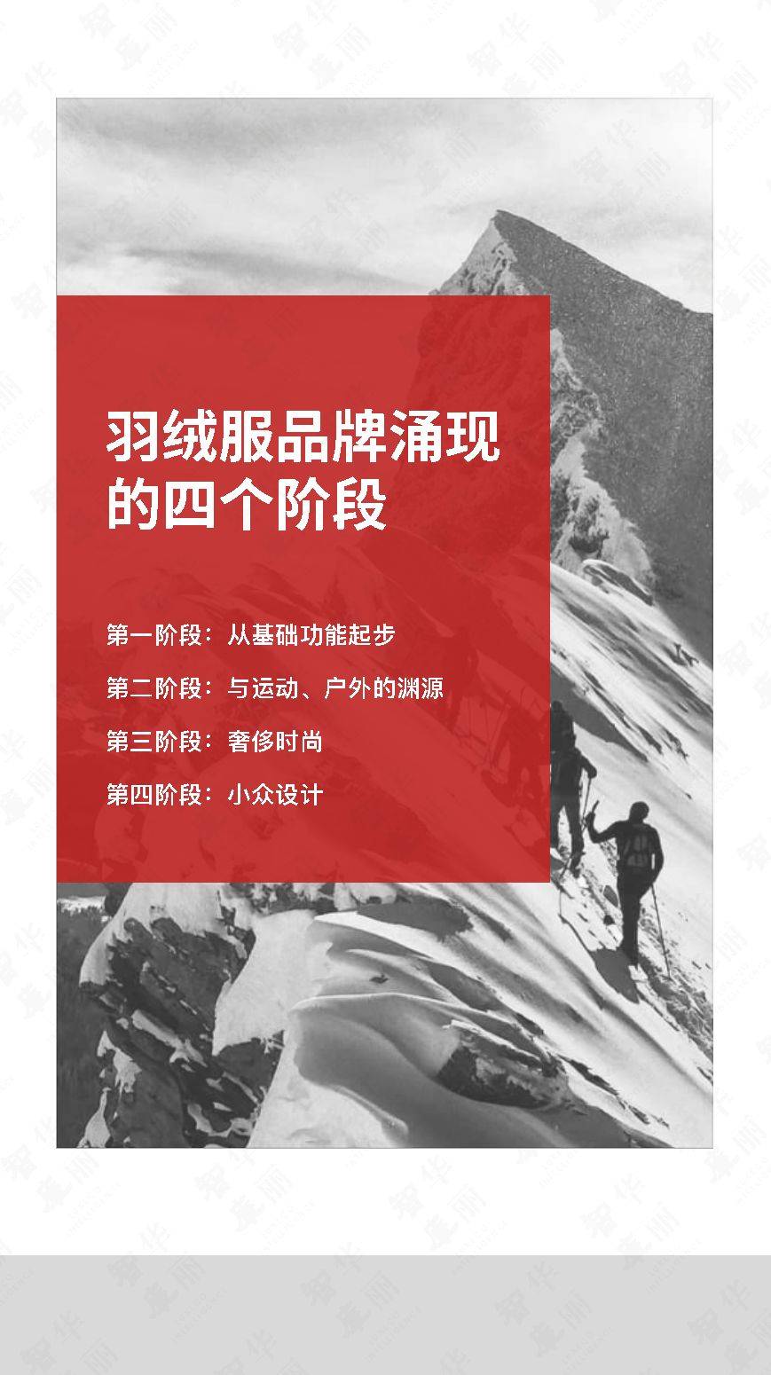 品牌 2020年全球羽绒服品牌研究报告-华丽智库