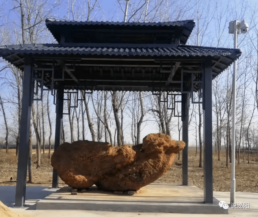 泌阳东高庄冶铁遗址出土文物完成整体搬运