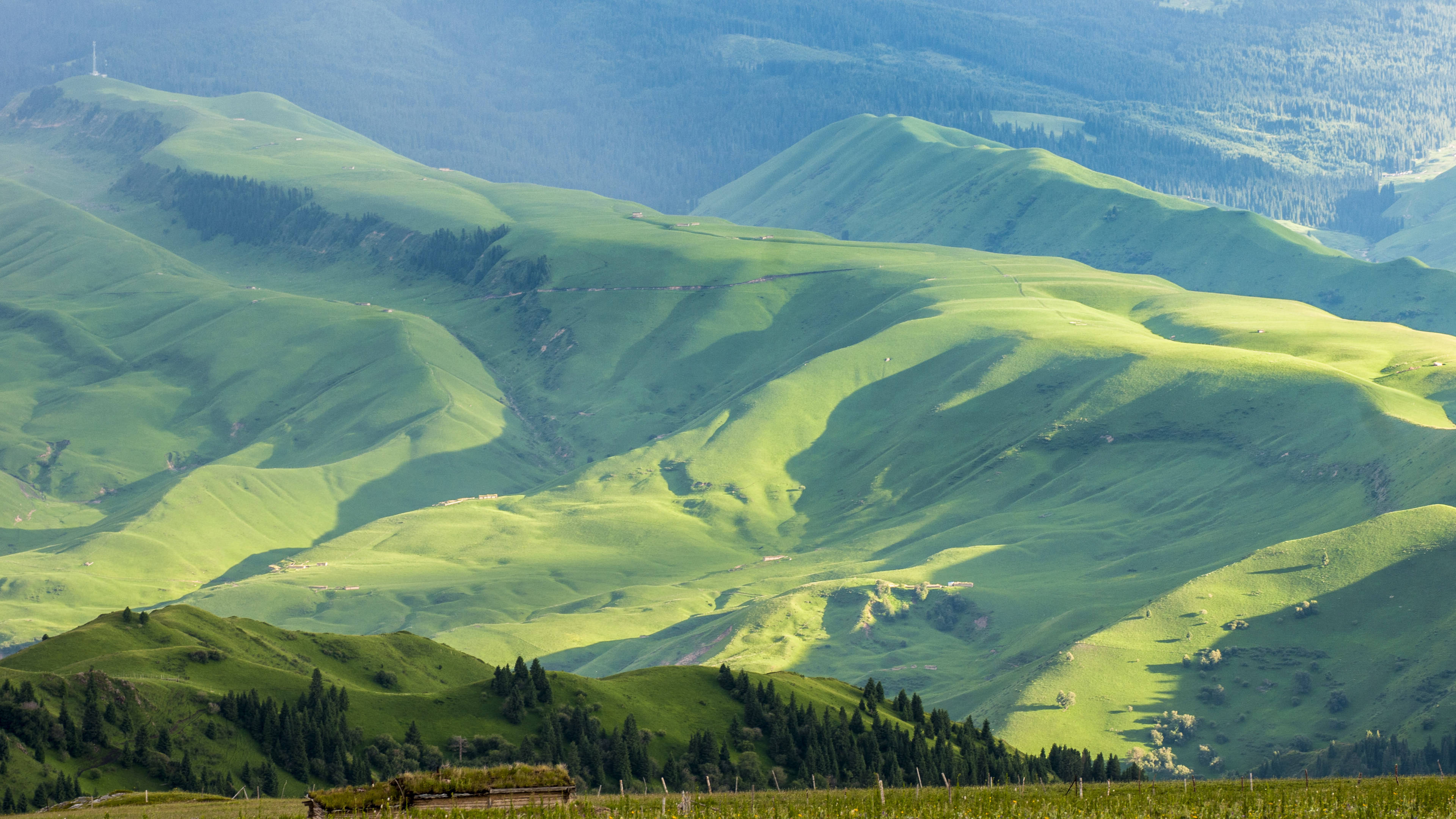 爱情_一个人_爱得