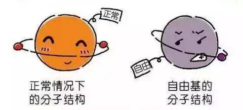 自由基对人体有什么伤害 e455d722d0c545a58ac7a7a39dd78d7f.jpeg