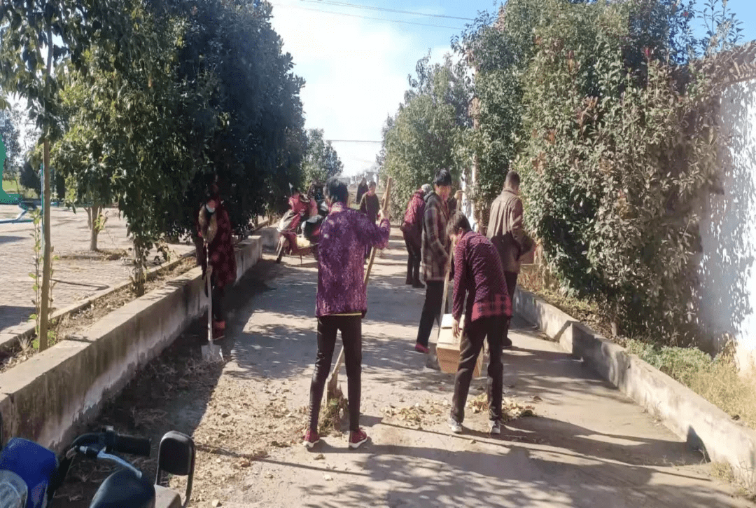 新野县上庄乡:环境整治助力乡村振兴_人居_群众_行动