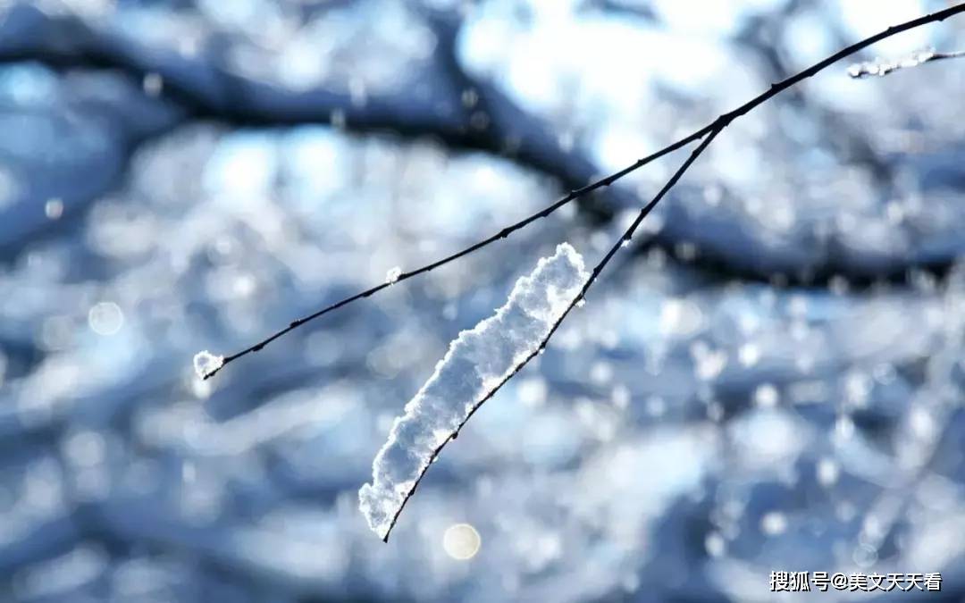 今日大雪在醉美的詩詞裡遇見最美的雪