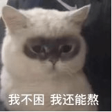 体力|WildFieldHealth|早上不吃饭有危害，那早上只喝水，不吃饭有什么危害？