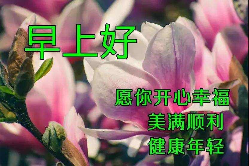 067390ebc40b49eca717bf9b585f9a68.jpeg