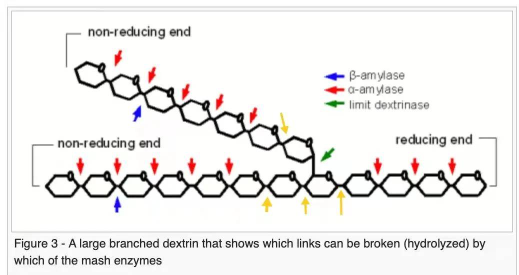 神器|吃得多却吸收少？还真有这种减肥「神器」