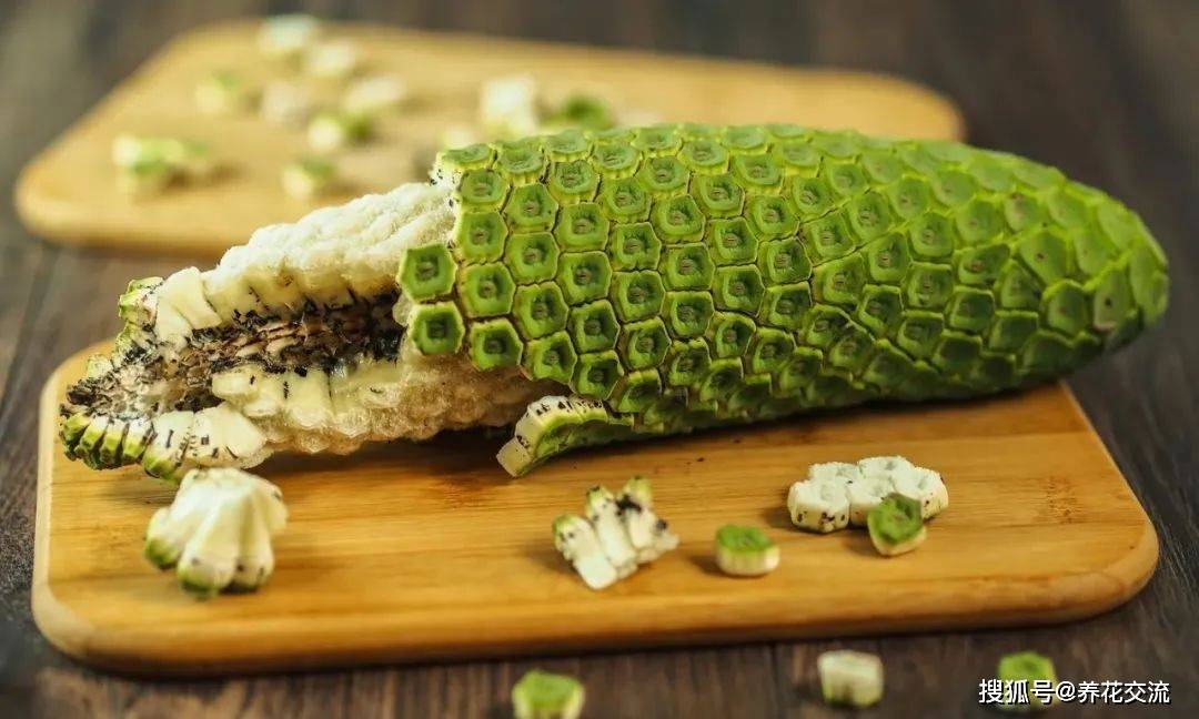 龟背竹果实怎么吃