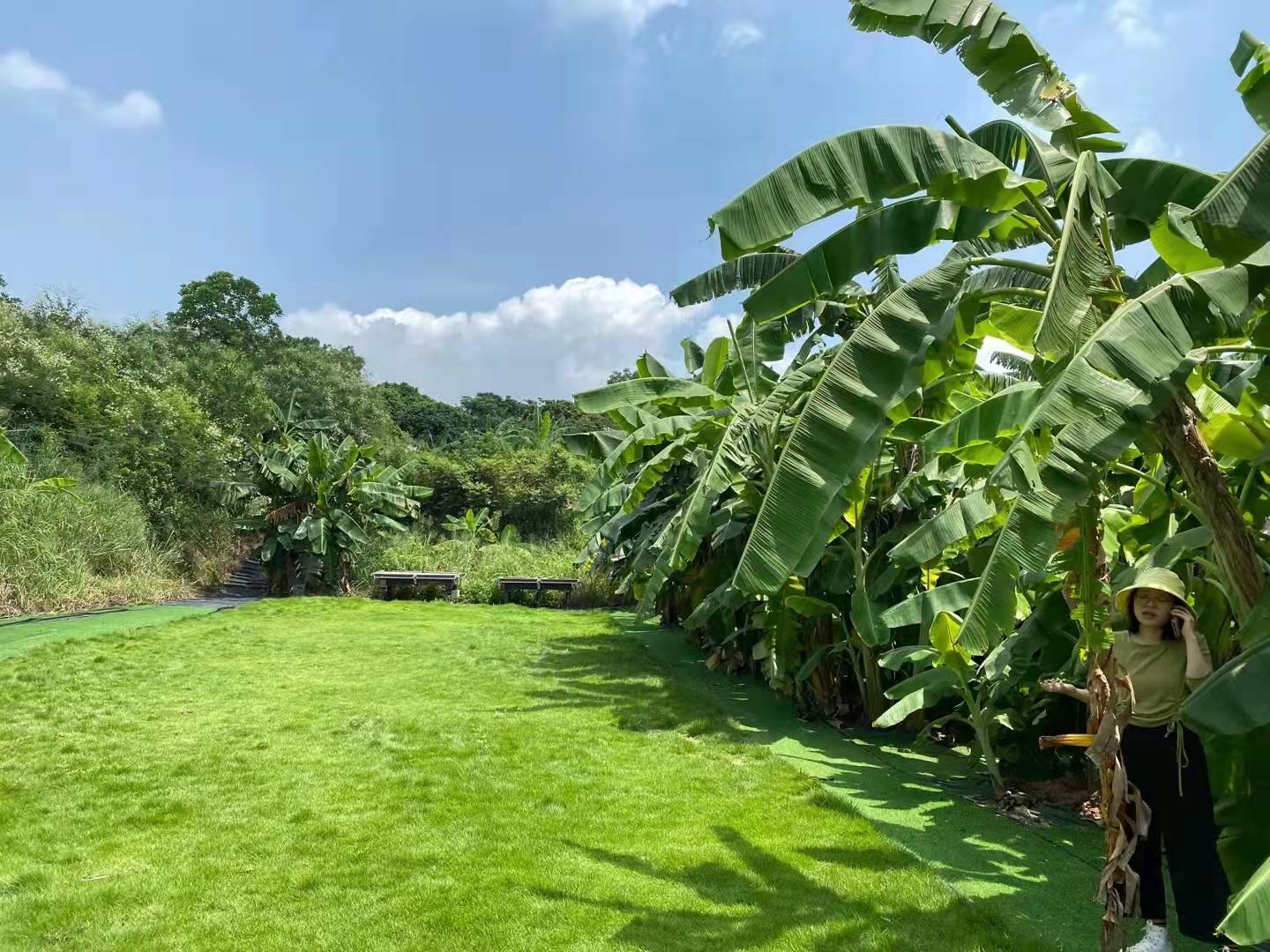 生态农场,来到这里首先吸引大家的就是周围密密麻麻的原生态的芭蕉林