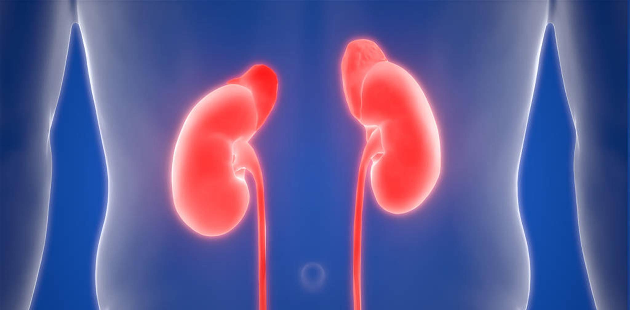 肾脏|不想肾病变尿毒症，别只盯着指标，这6件事要做好，别说没提醒你