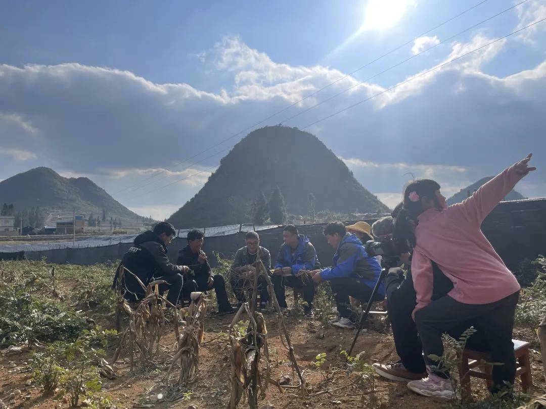 3年时间,老农靠它挣了32套房_程墩儒_山豆根_肥料