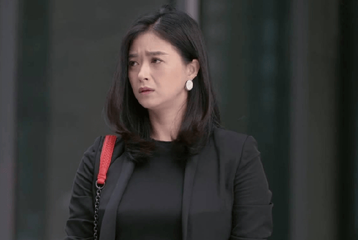 欢乐颂相比扶兄魔的樊胜美其实樊胜英才是樊家的毒瘤