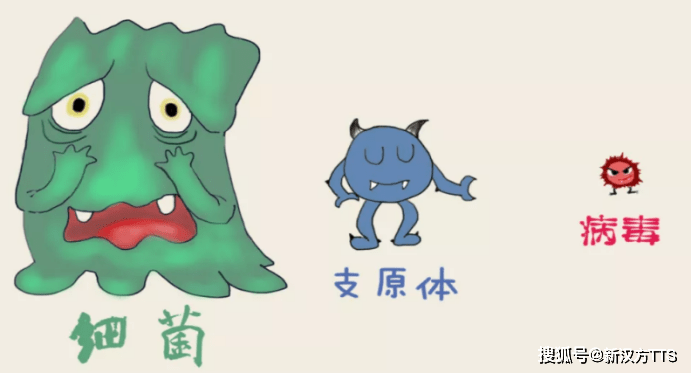 d42b93c7cc7b4a36bccbfd44dc2f83ec.png
