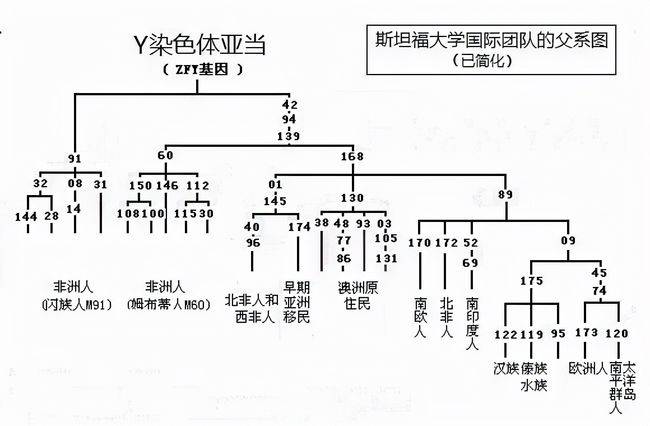 凭y染色体也能寻亲5岁被拐养父残暴33年后凭ystr找到家人