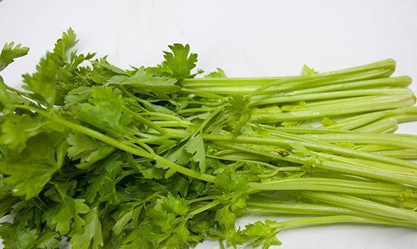 饮食|餐后血糖升高,也许饮食顺序搞错了,主食该先吃,还是最后吃?