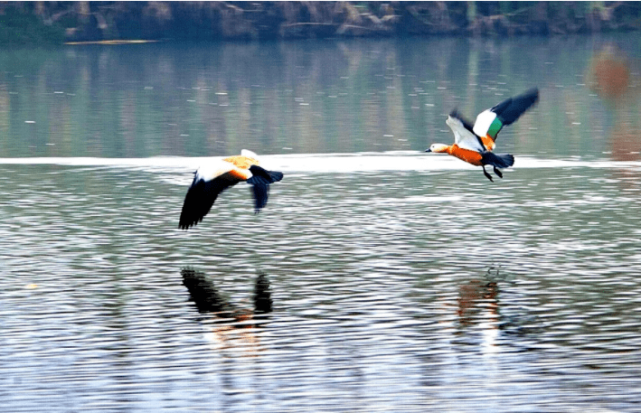 晋网红 这个冬天,把眉山穿在身上,谁看谁心动~