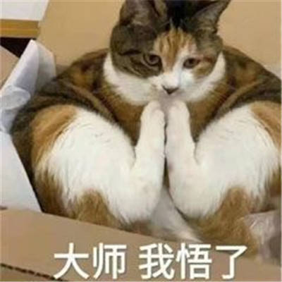 318c31fe925341c0989608477255bb37.jpeg