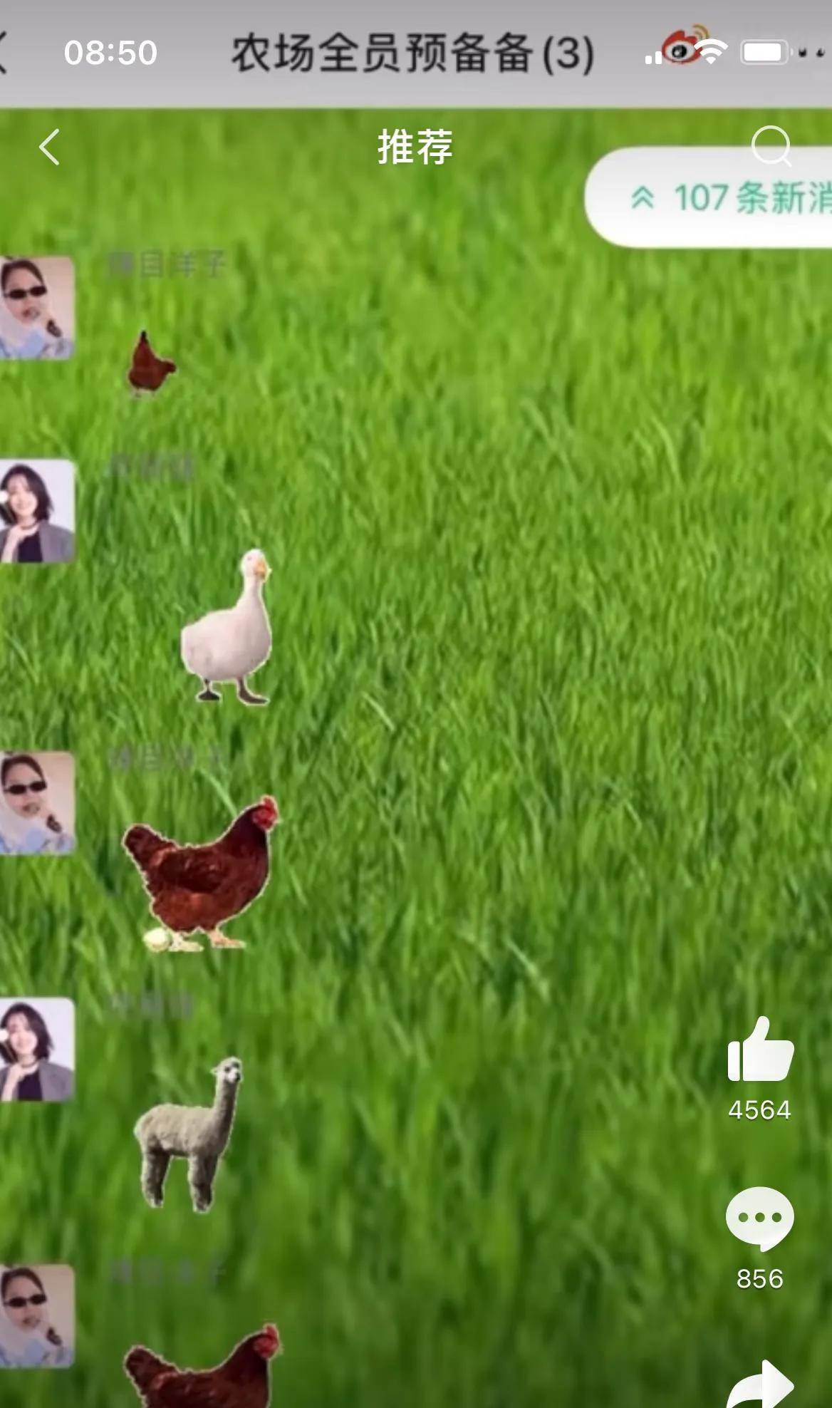 什么|佟丽娅综艺开播前花样百出，黄渤长得显老什么体验，颜值略胜杨迪