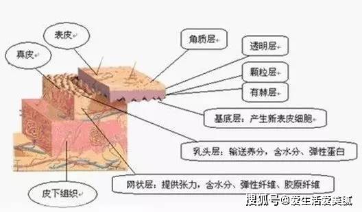 护肤品娟宜老师小课堂|：女生为什么要用那么多的护肤品？