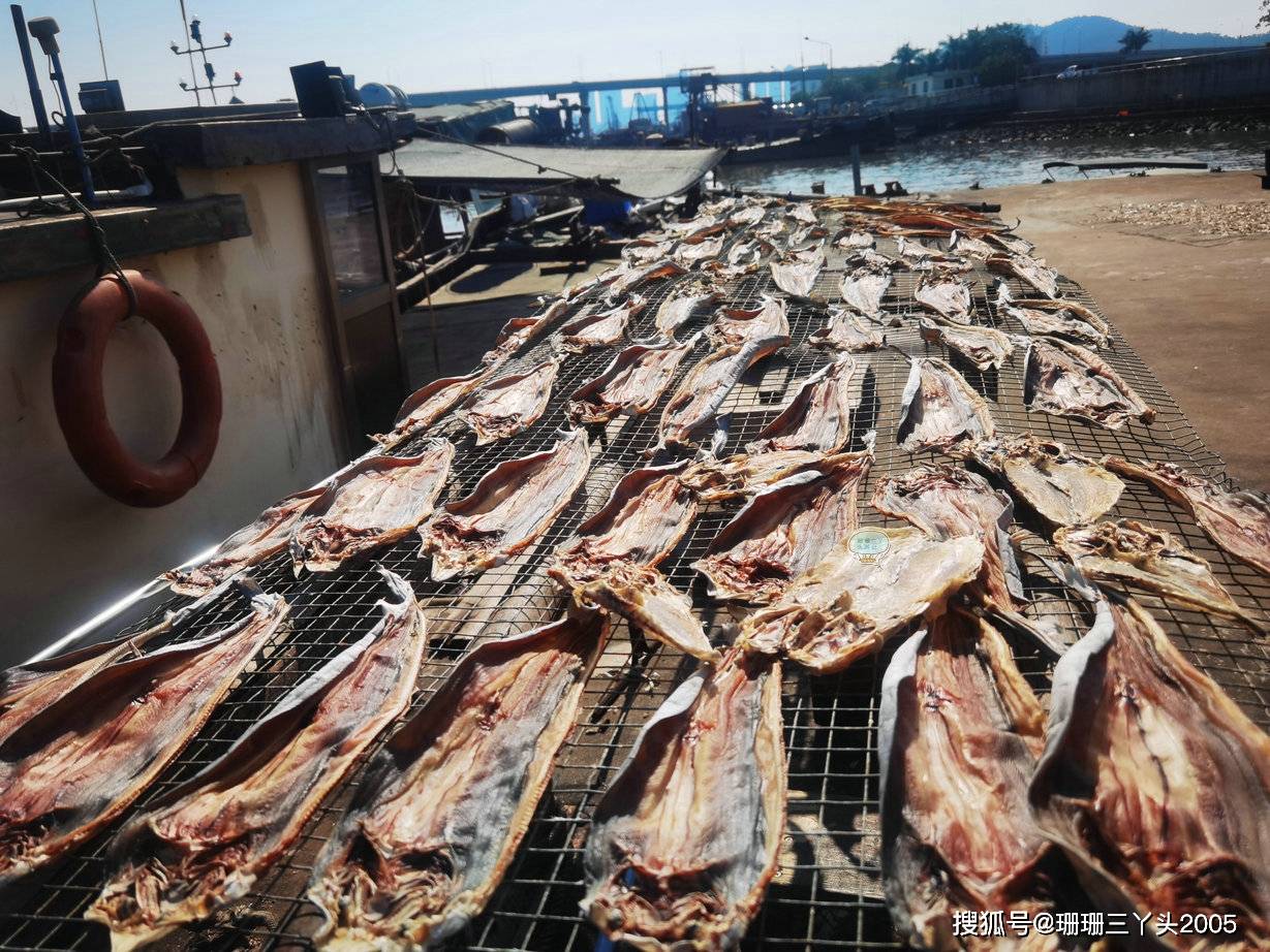 广州这个在国家级渔港内的“鱼墟”，天天有“鲜”食材，非常热闹