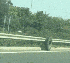 同学搞笑GIF段子：连自己的食物都护不住，被鸡给欺负了。