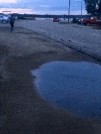 同学搞笑GIF段子：连自己的食物都护不住，被鸡给欺负了。