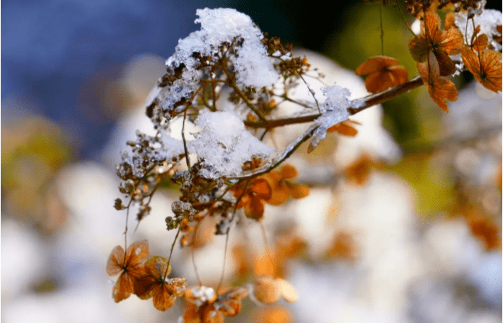 晋网红 这个冬天，把眉山穿在身上，谁看谁心动~