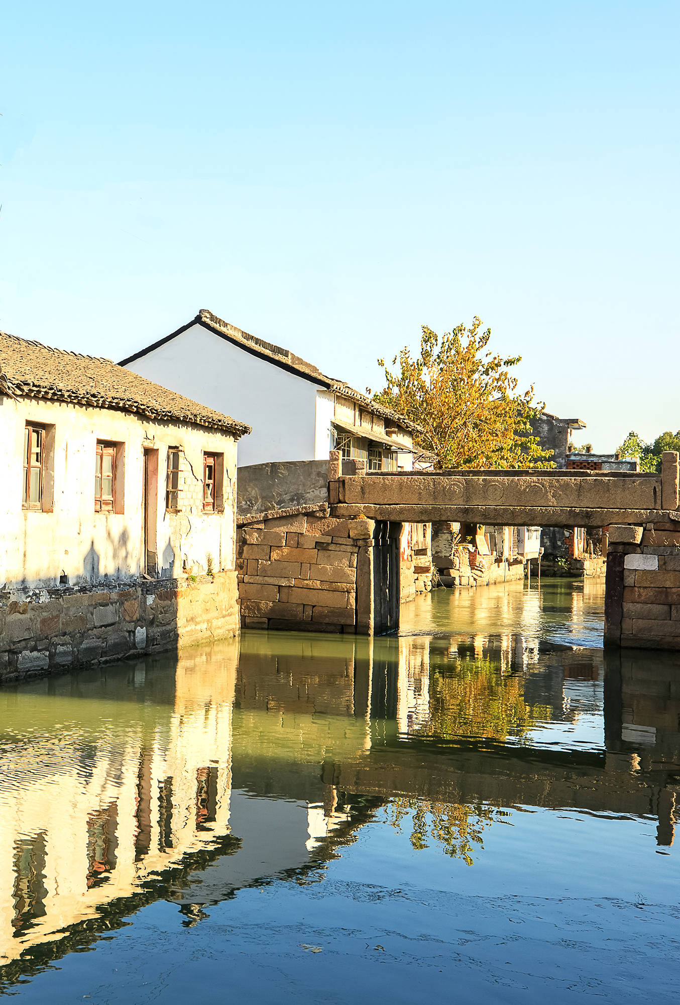 老街|古街塘河相伴的黄埭老街，碧云天、黄叶地，又到银杏金黄时