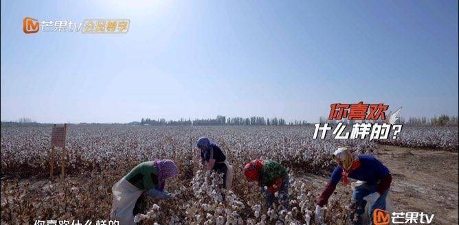 陈小春|张智霖上综艺大尴尬，叫一个比自己大5岁的人阿姨！