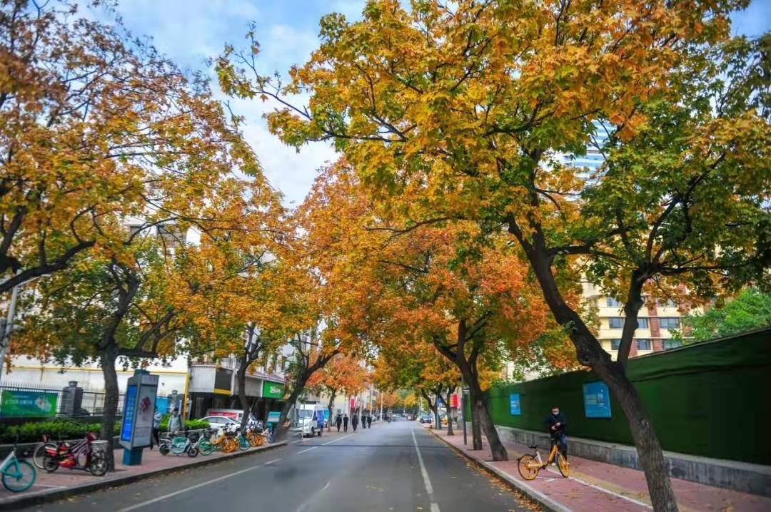 小镇|济南市文化和旅游局第一批市级夜间文化和旅游消费集聚区名单公示