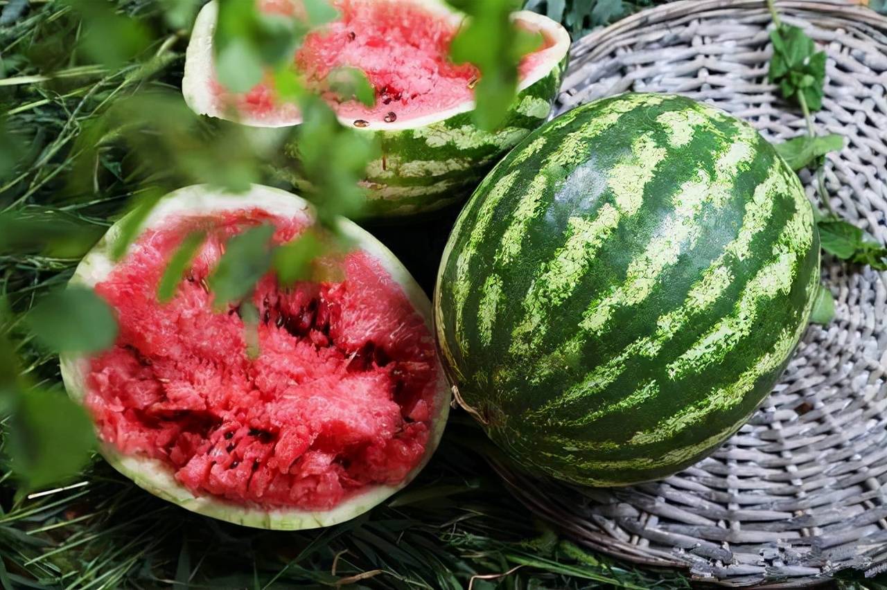 西瓜吃起来不甜是怎么回事影响西瓜品质的因素有哪些